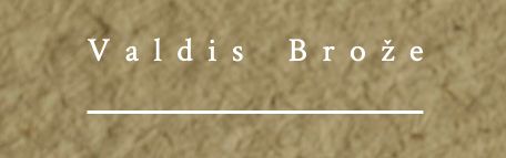 Rafremise - Valdis broze